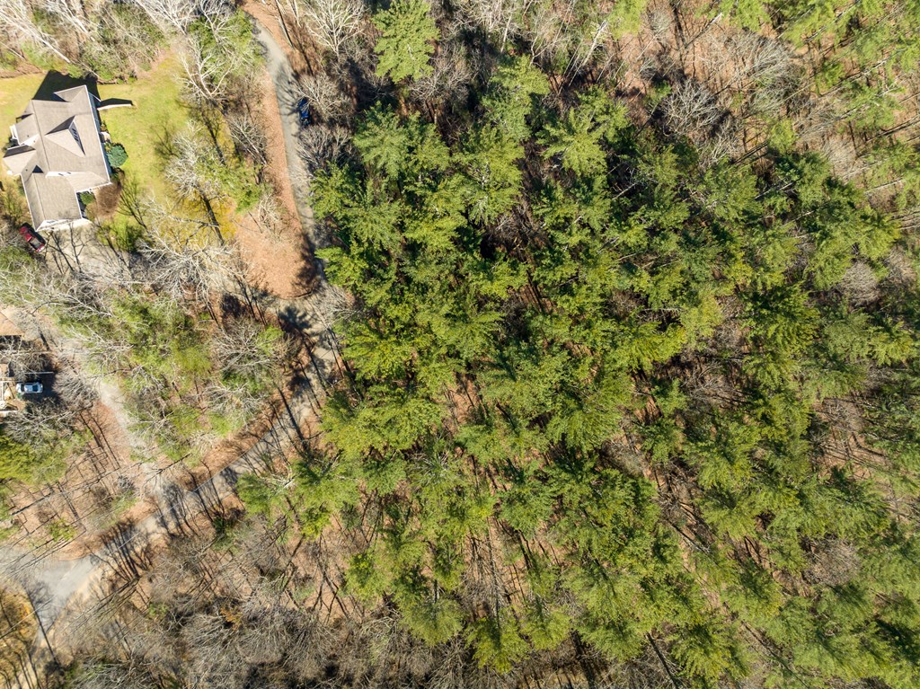 Lot 658 Satsuma Court