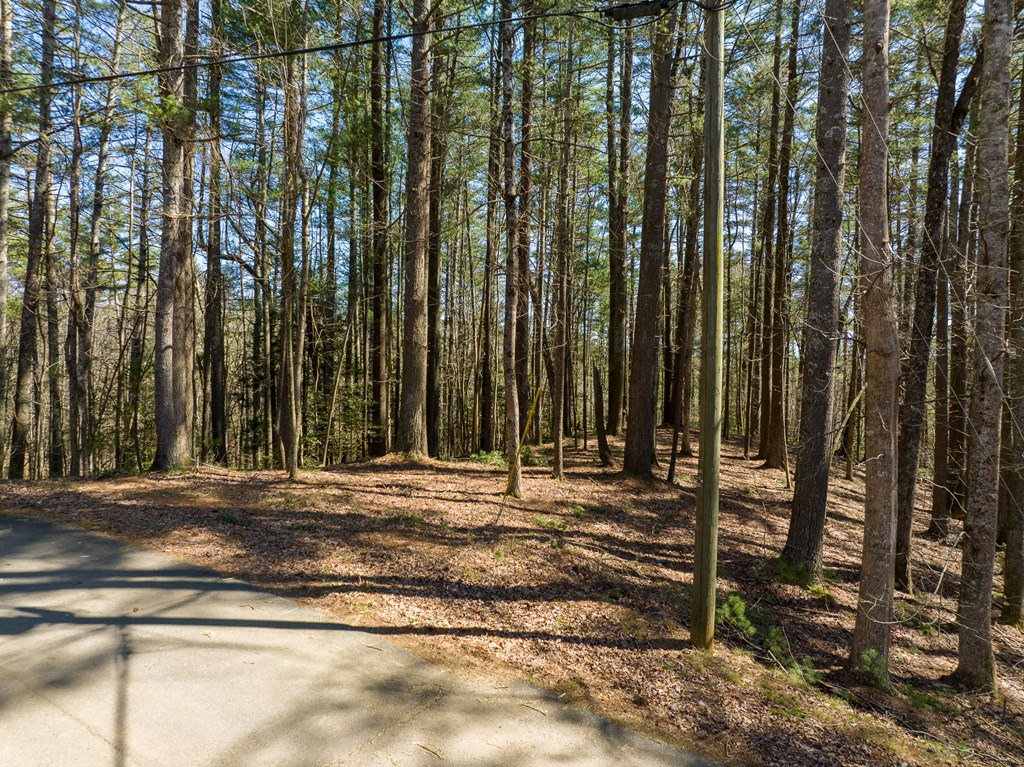 Lot 658 Satsuma Court