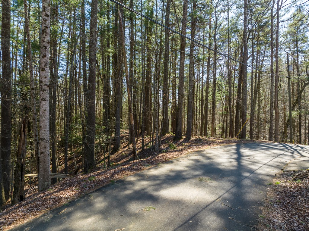 Lot 658 Satsuma Court