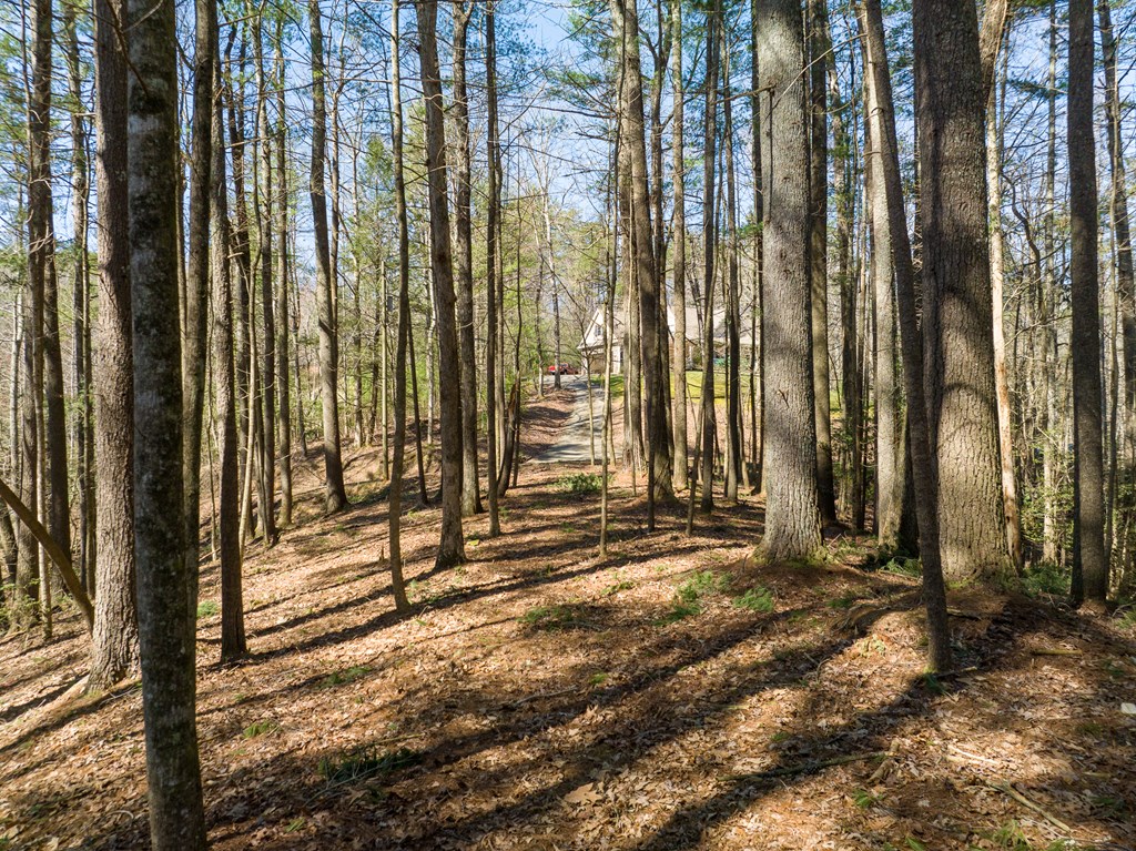 Lot 658 Satsuma Court