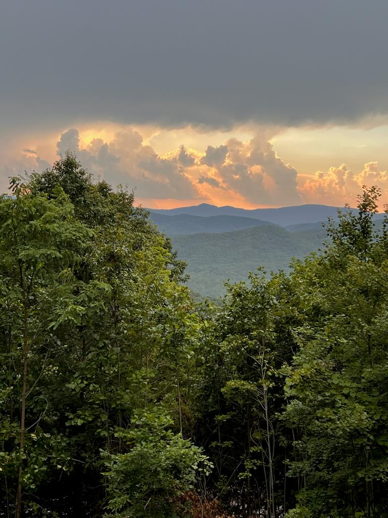 220 Moosilaukee Trail