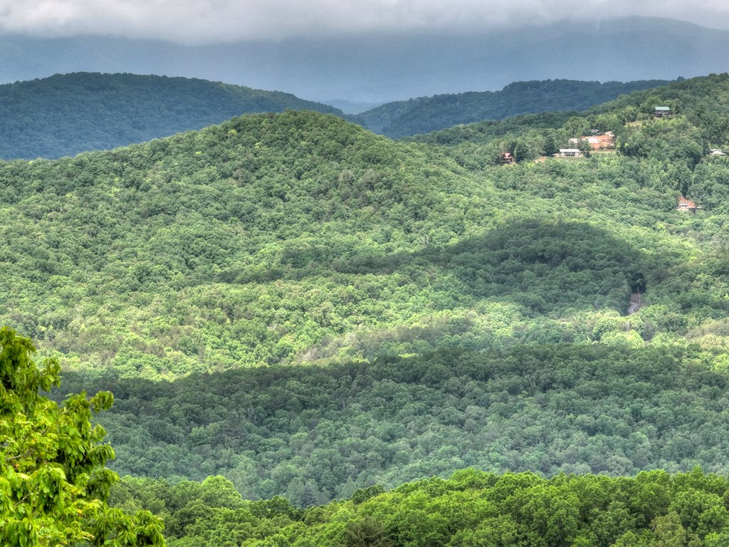 220 Moosilaukee Trail