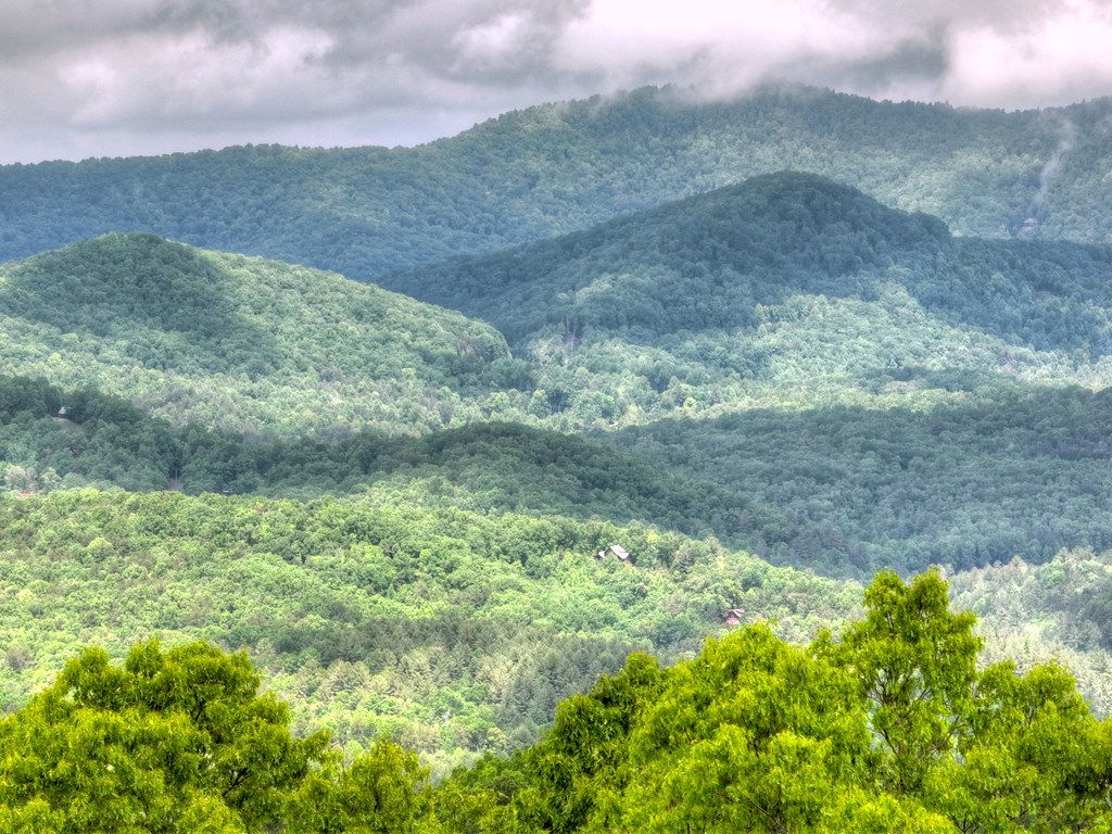 220 Moosilaukee Trail