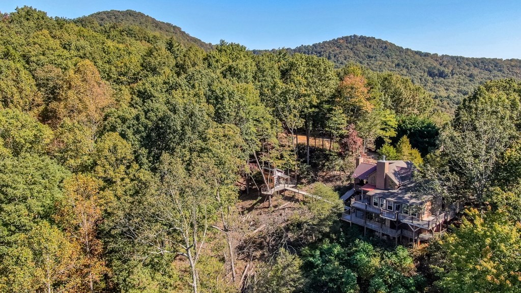 349 Amy Creek Circle