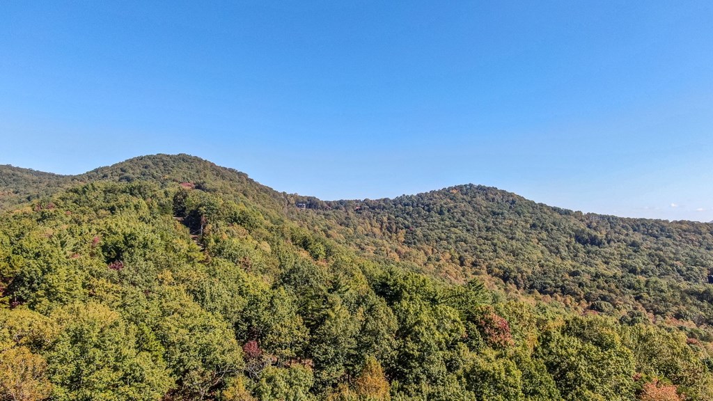 349 Amy Creek Circle