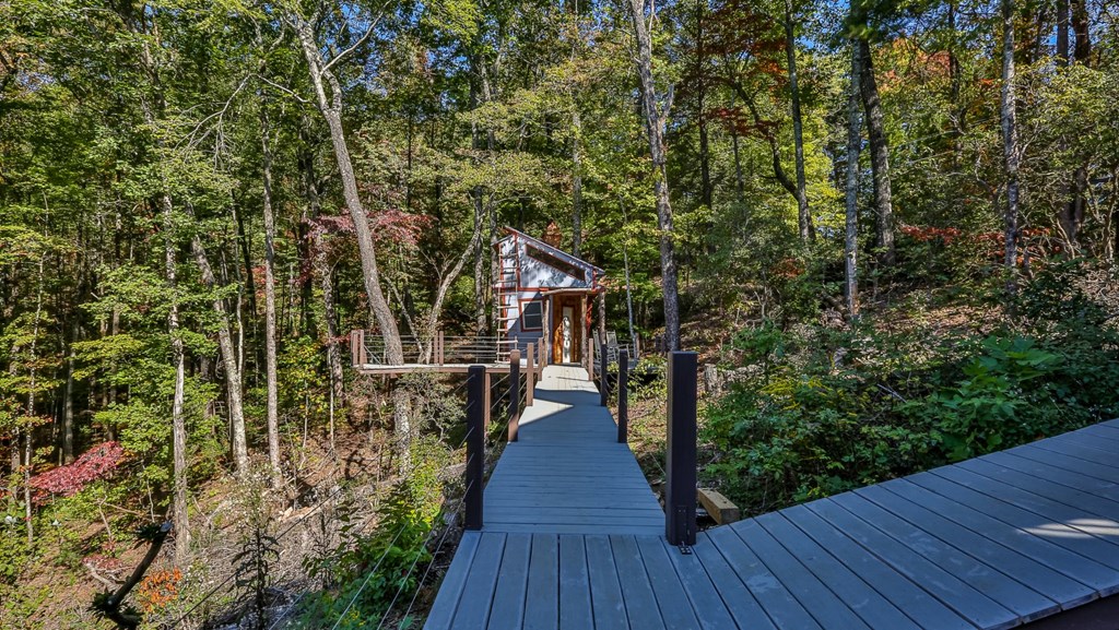 349 Amy Creek Circle