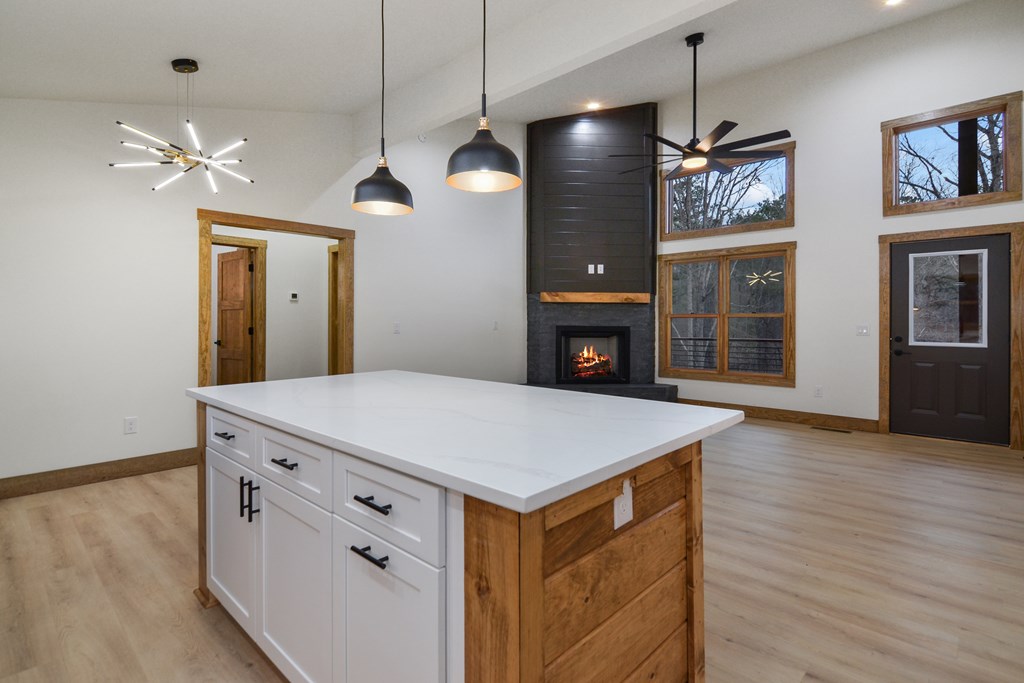 295 Pasha Drive