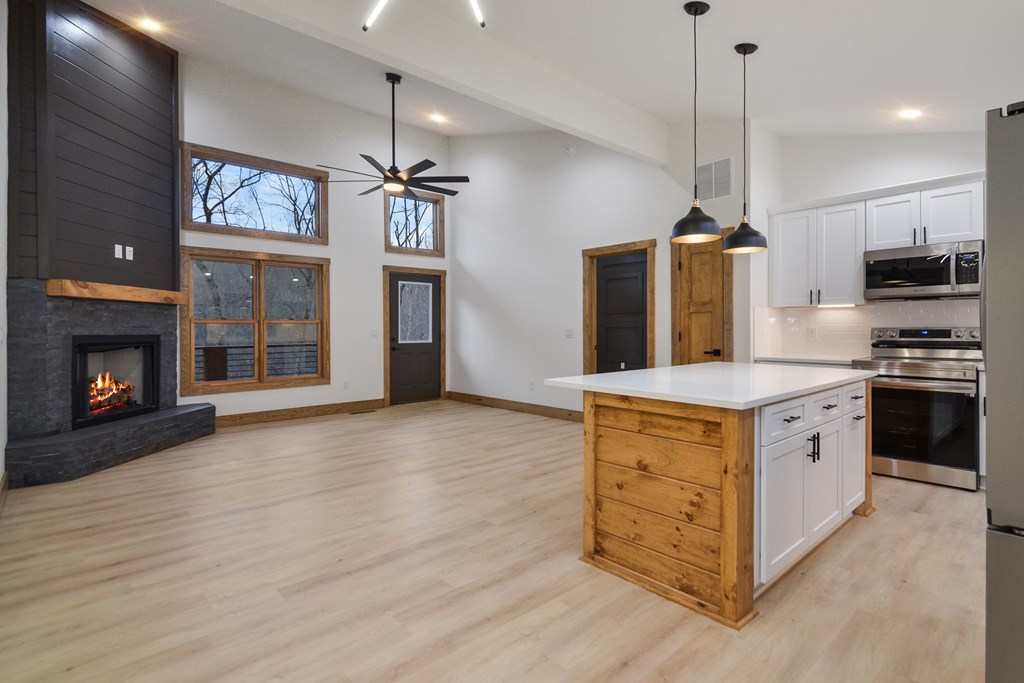 295 Pasha Drive