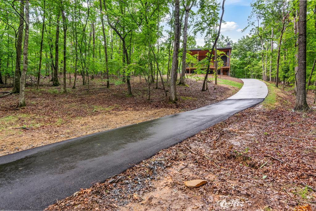 295 Pasha Drive