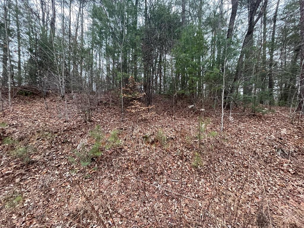 Lots 3&4 Riverlodge Dr