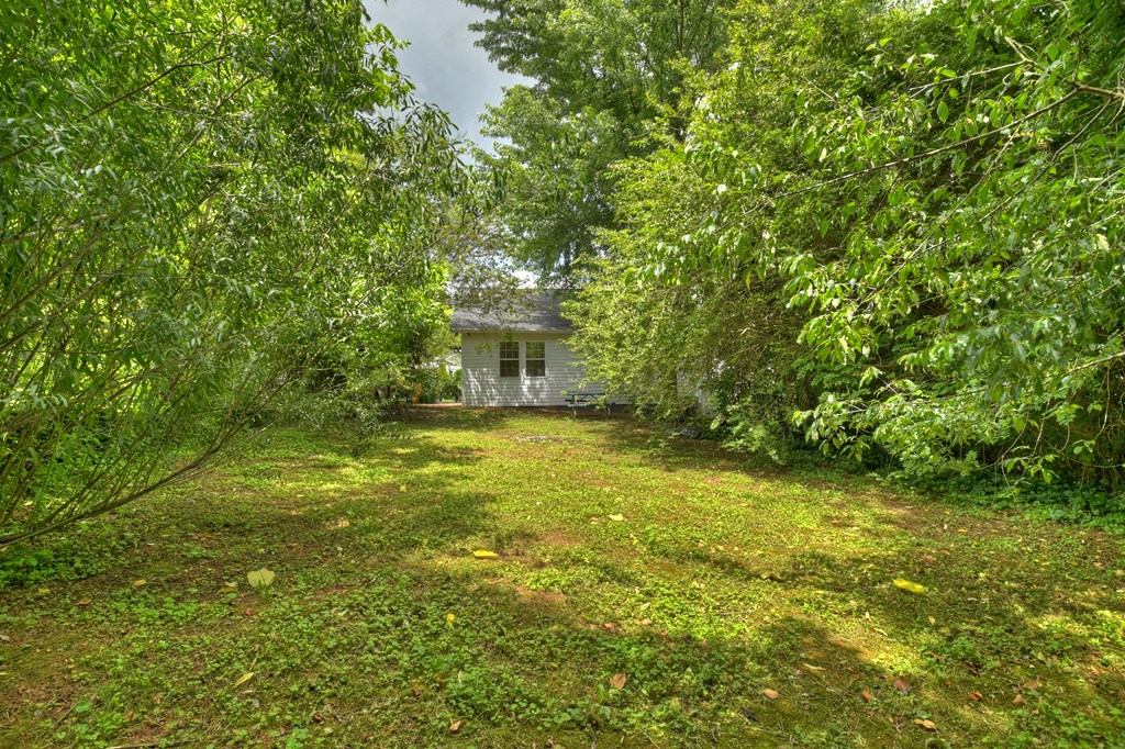 61 Delaware Street