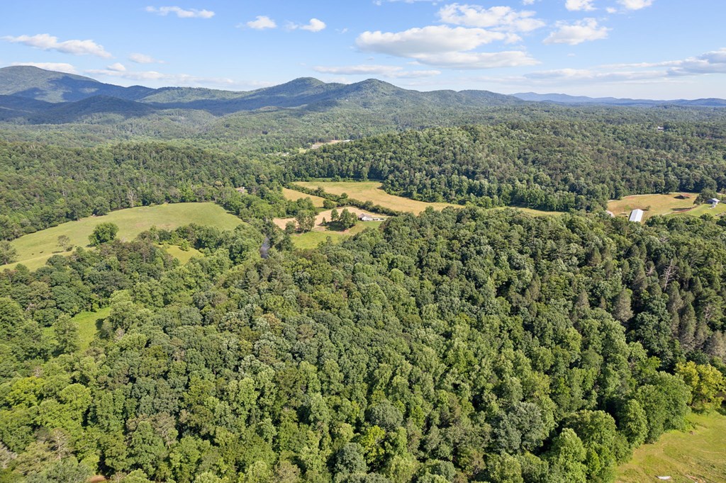 907 Northcut Road