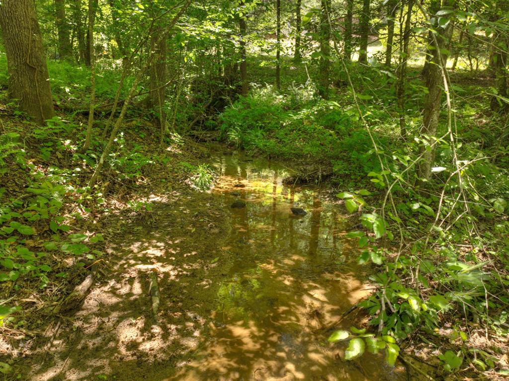 96 Lost Mine Road