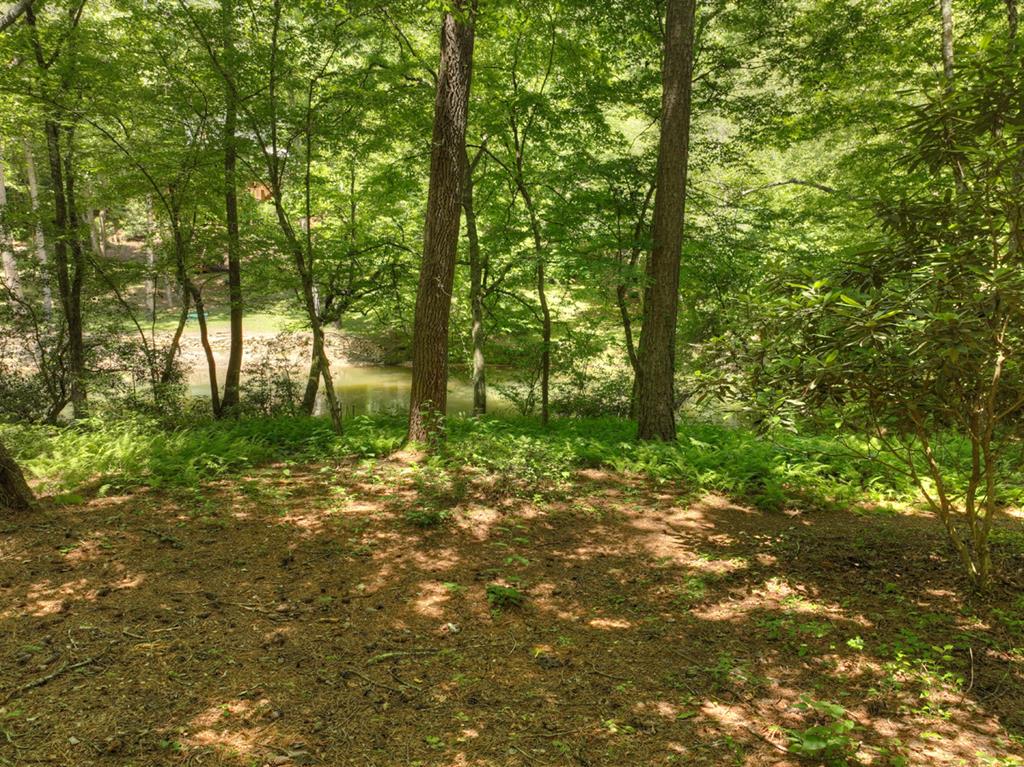 96 Lost Mine Road