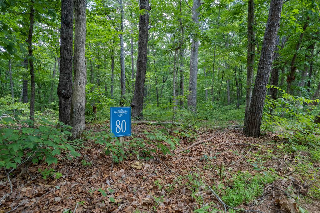 LT 80 Doll Mountain Road