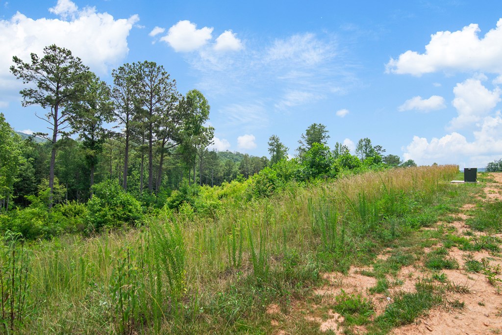 Lot 196 Oak Park Drive