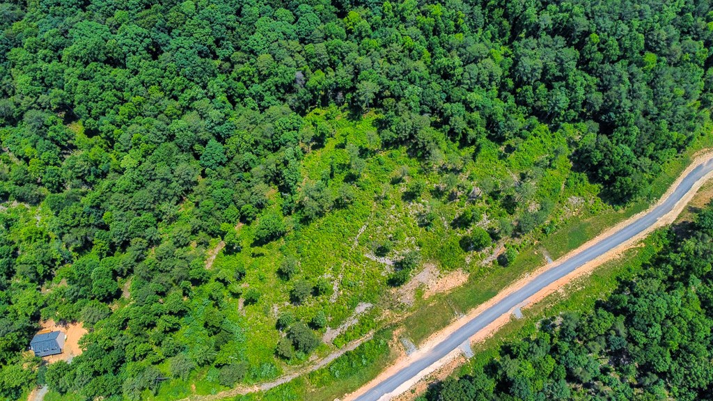 Lot 196 Oak Park Drive