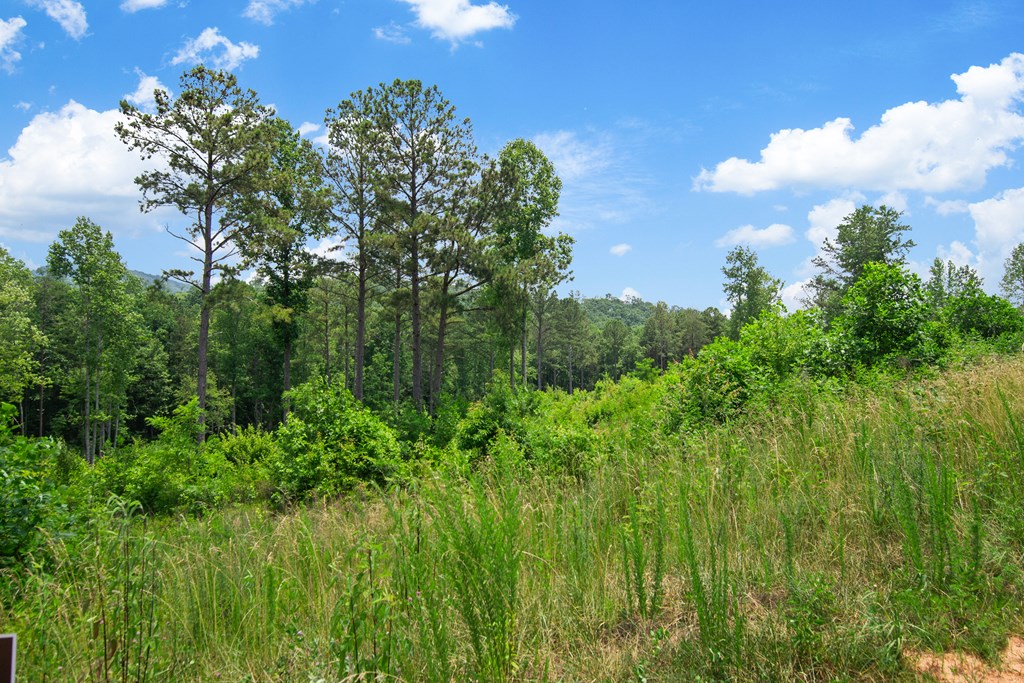 Lot 196 Oak Park Drive
