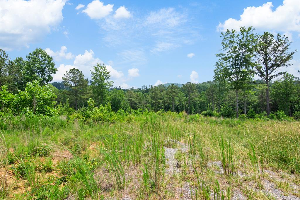 Lot 196 Oak Park Drive