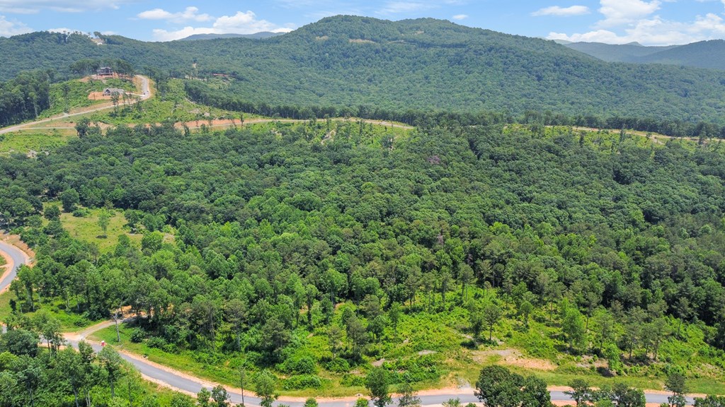 Lot 196 Oak Park Drive