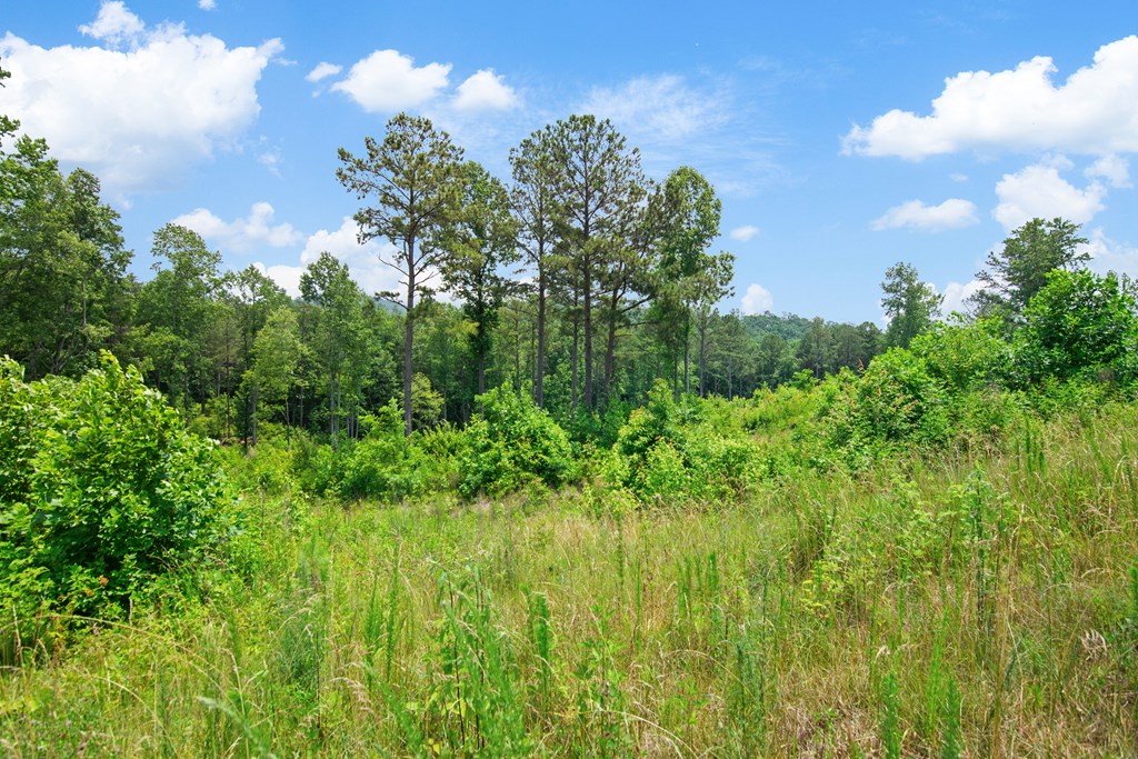 Lot 196 Oak Park Drive