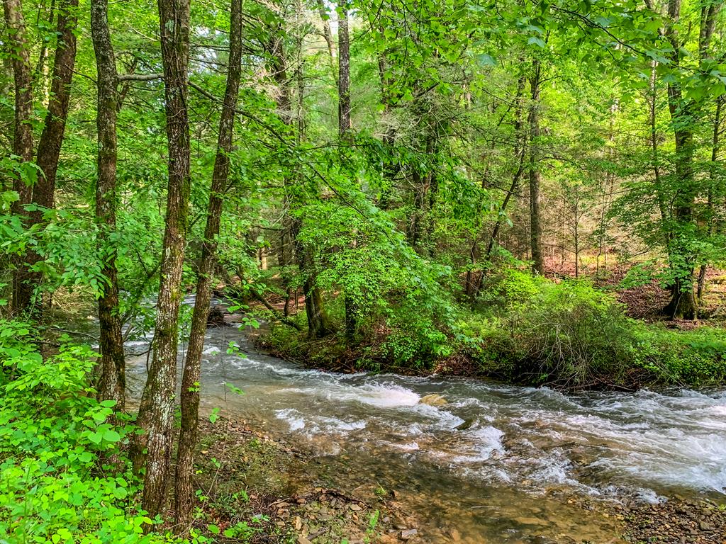 LOT M165 Walnut Mountain