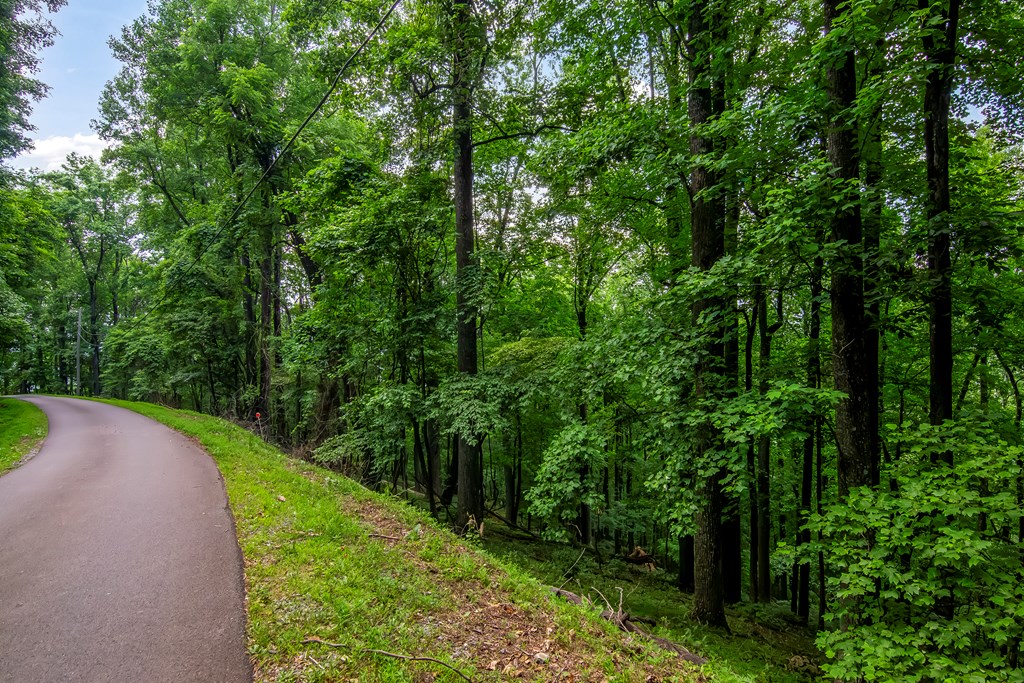 LOT M165 Walnut Mountain