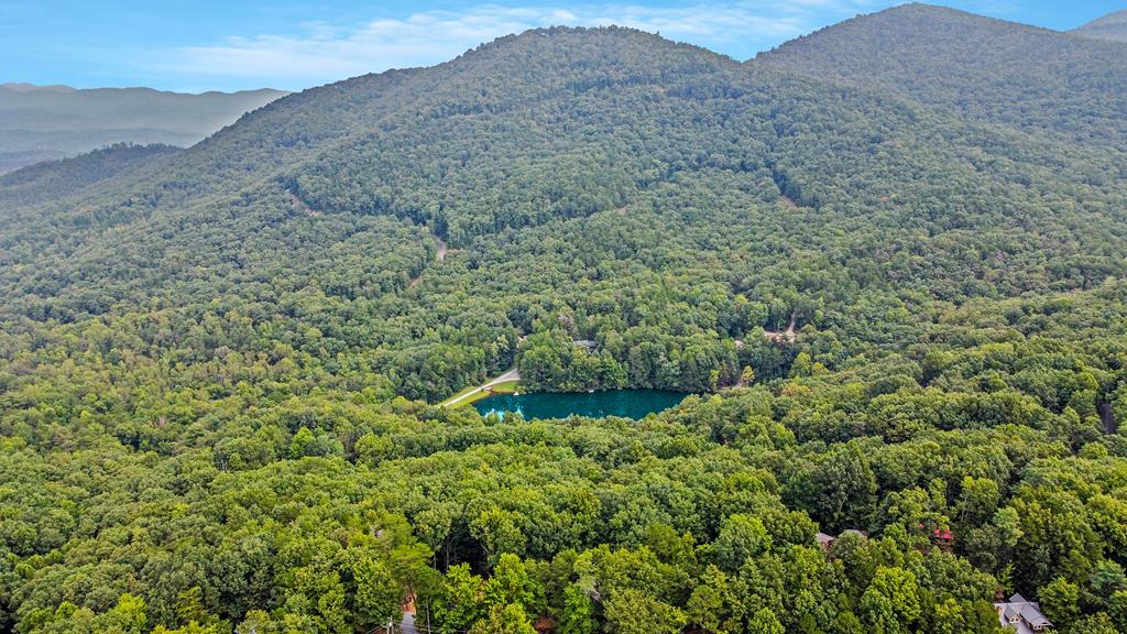 LOT M165 Walnut Mountain