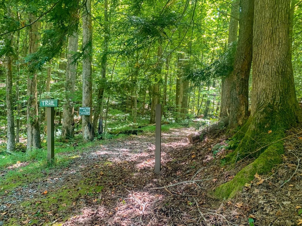 LOT M165 Walnut Mountain
