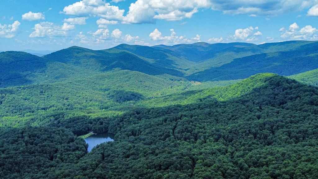 LOT M165 Walnut Mountain