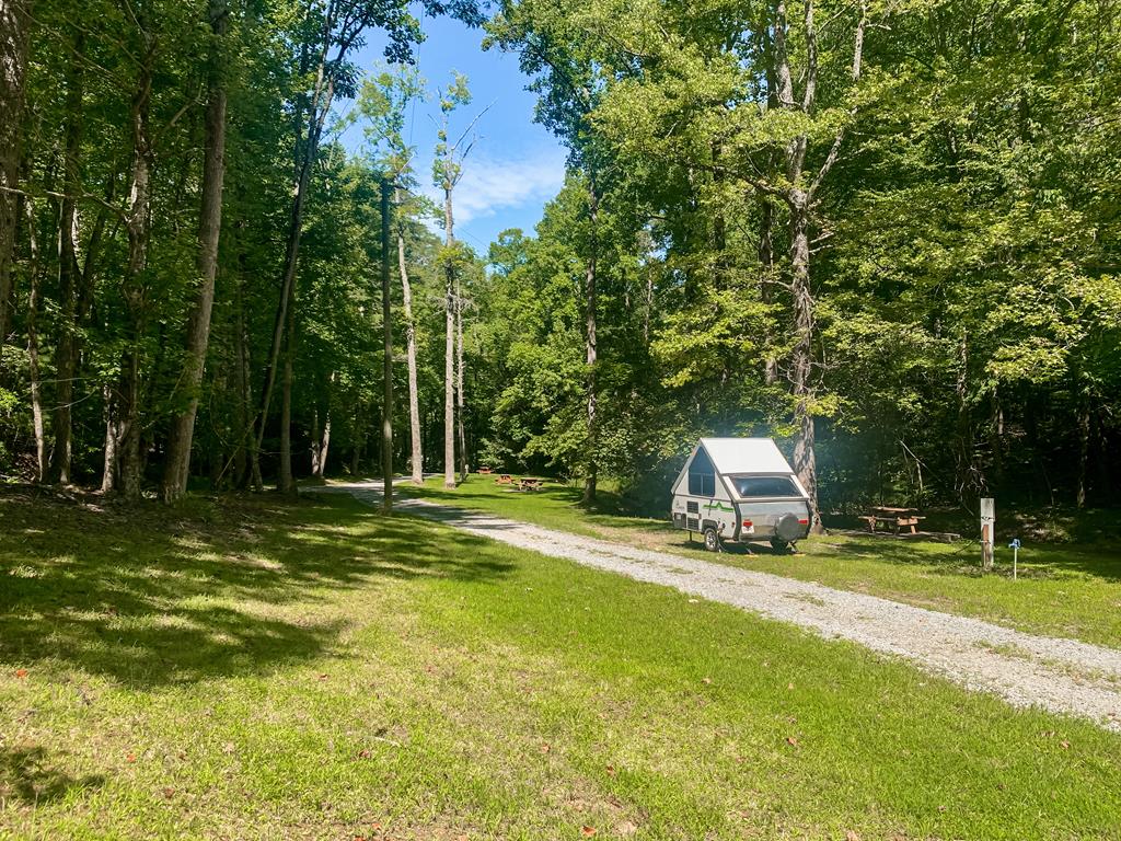 LOT M165 Walnut Mountain