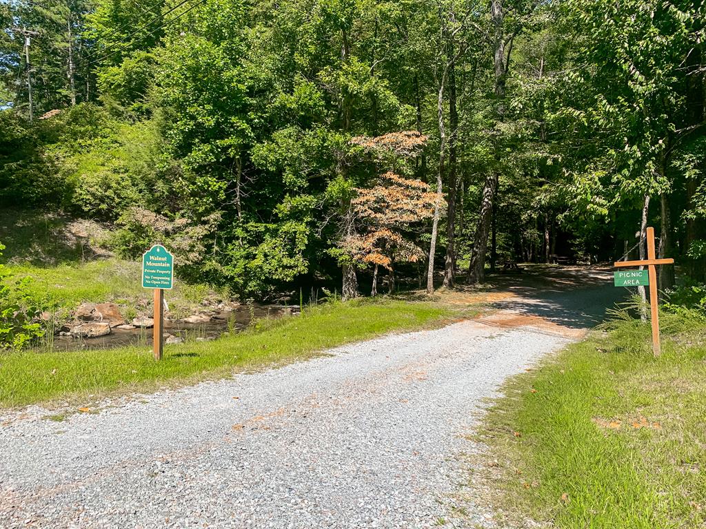 LOT M165 Walnut Mountain
