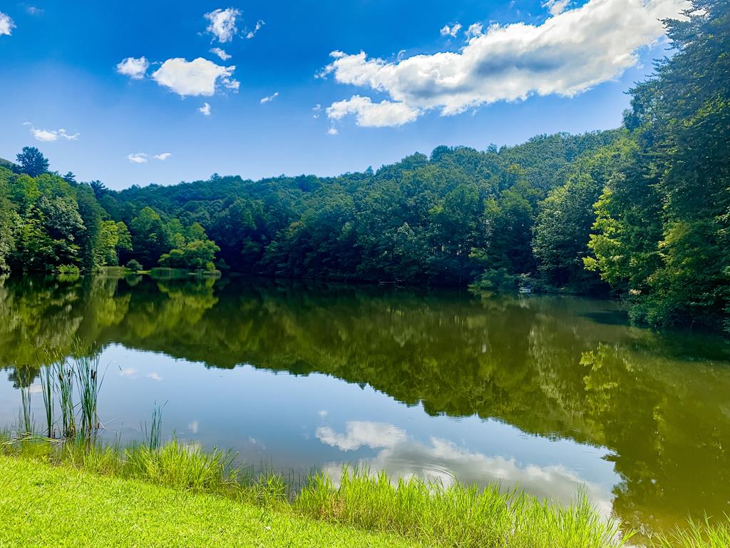 LOT M165 Walnut Mountain