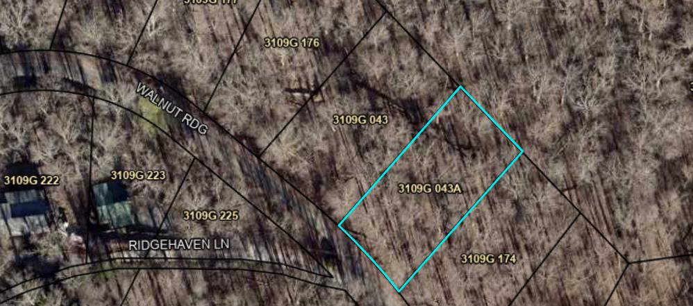 LOT M165 Walnut Mountain