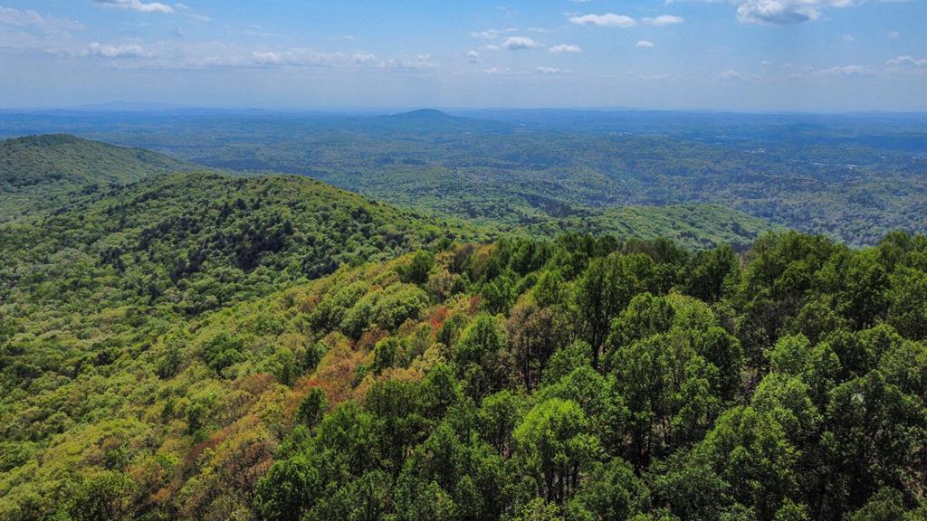 LOT M165 Walnut Mountain