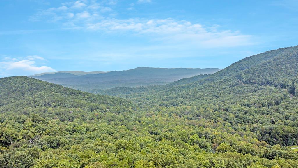 LOT M165 Walnut Mountain