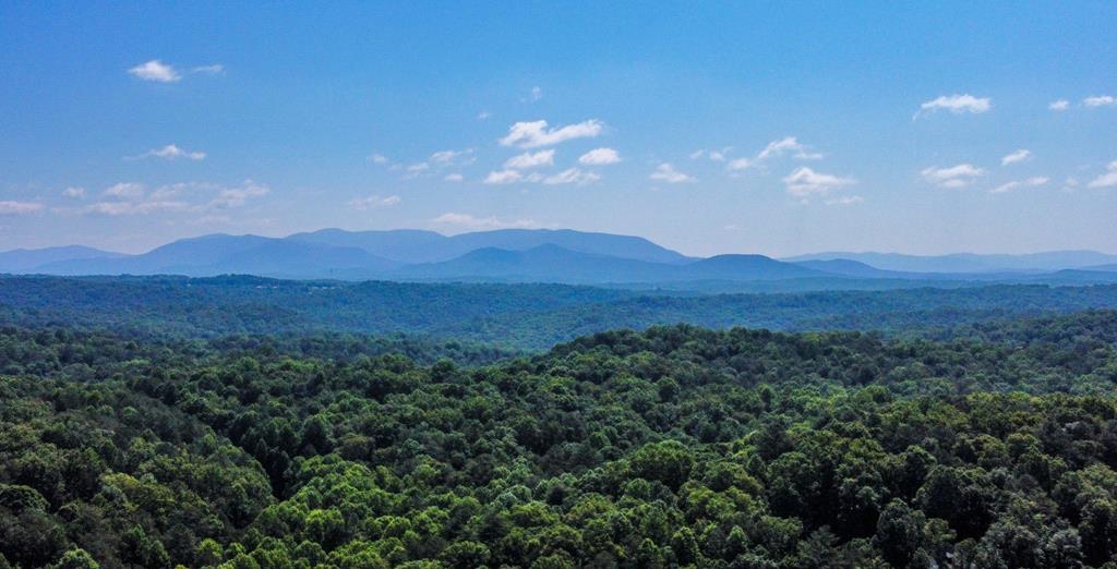 LOT M165 Walnut Mountain