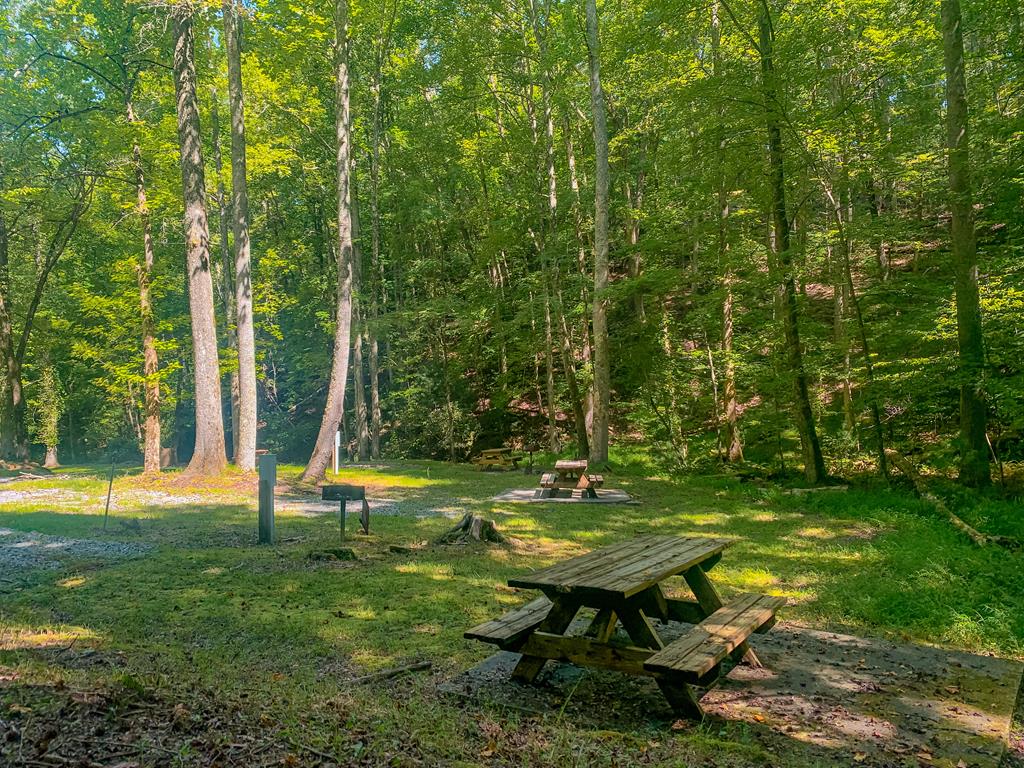 LOT M165 Walnut Mountain