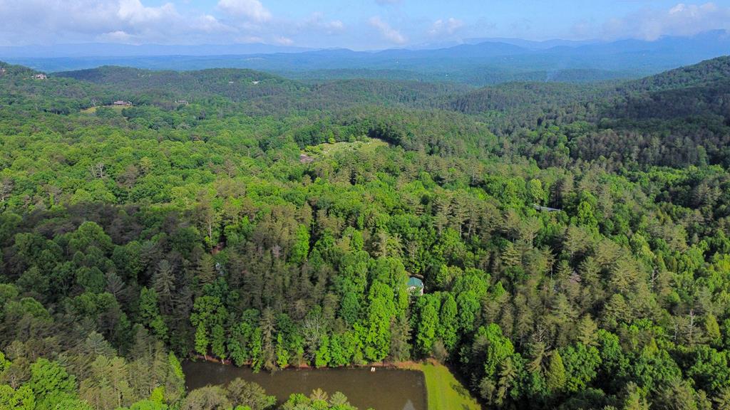 LOT M165 Walnut Mountain