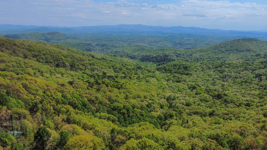 LOT M165 Walnut Mountain