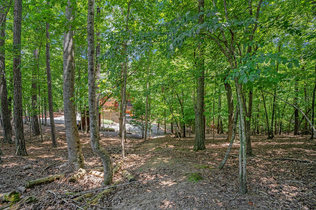612 Medina Ct