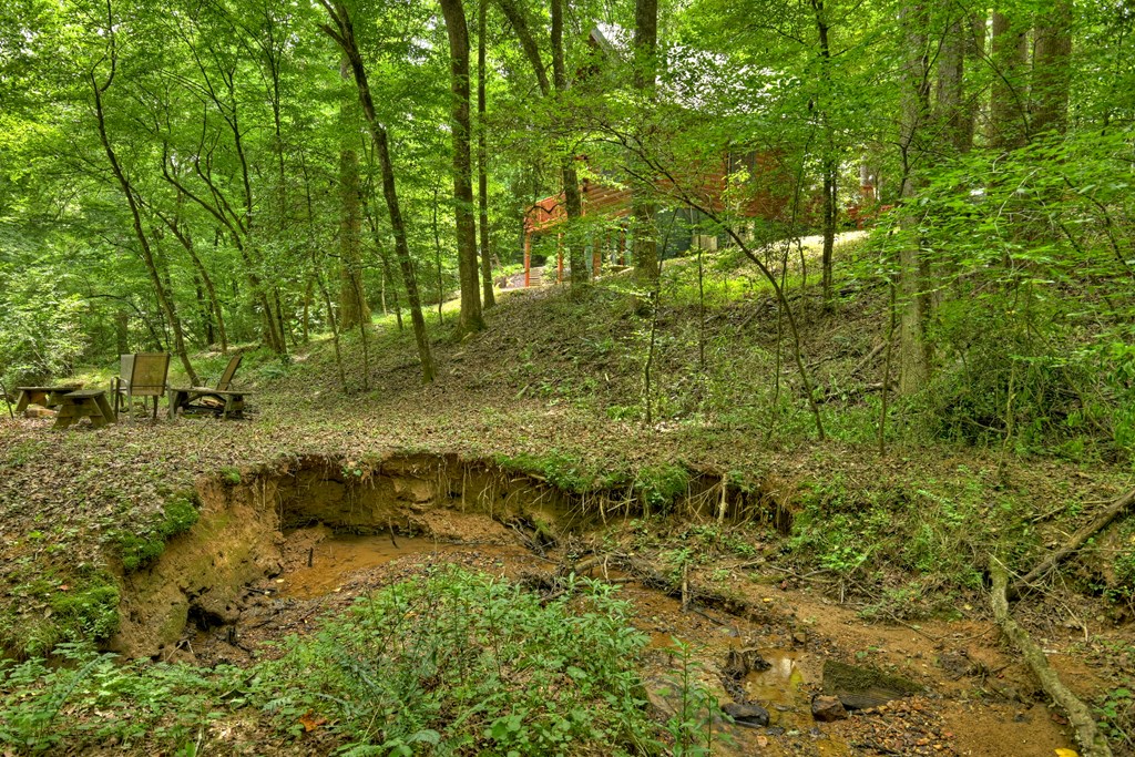 119 Farmstead Rd