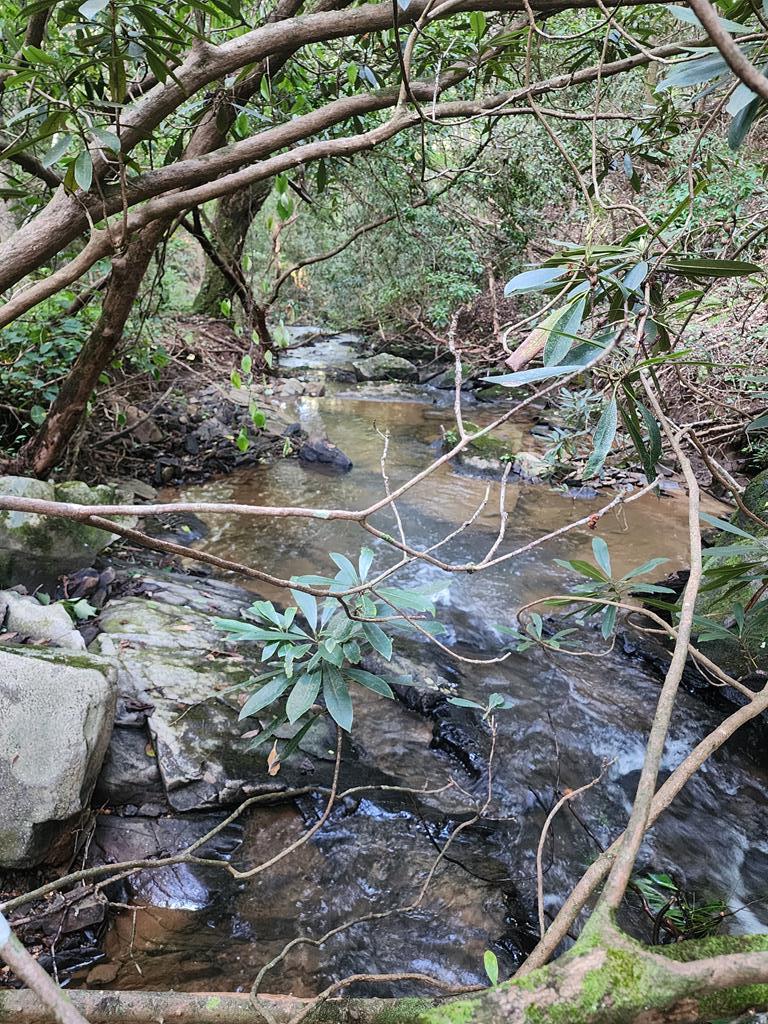 Lot 211 Woodstone Trail