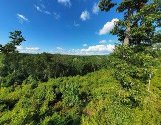 Lot 211 Woodstone Trail