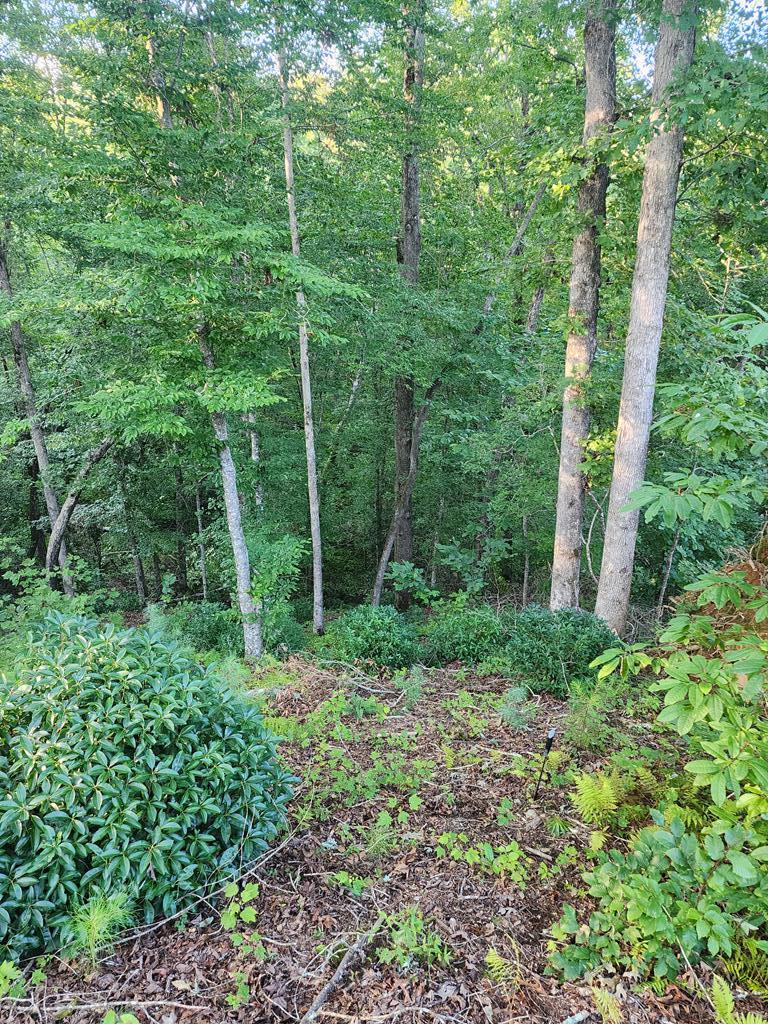 Lot 211 Woodstone Trail