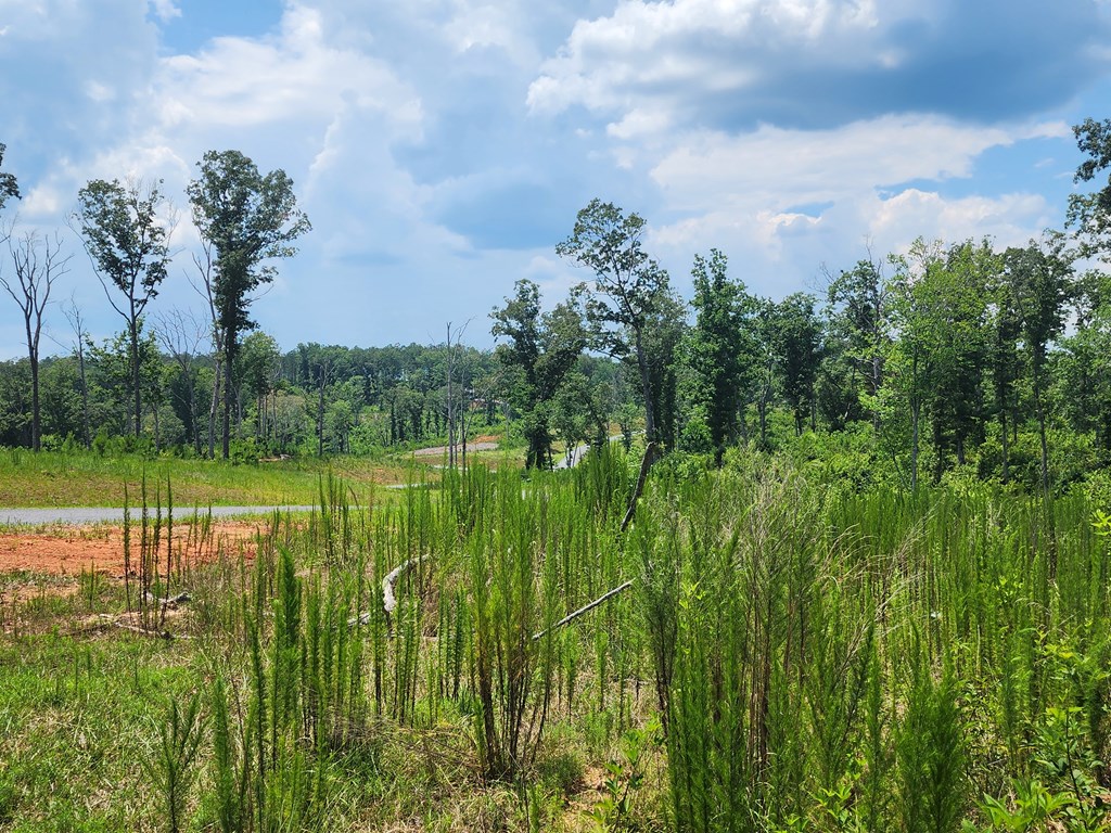 Lot 211 Woodstone Trail