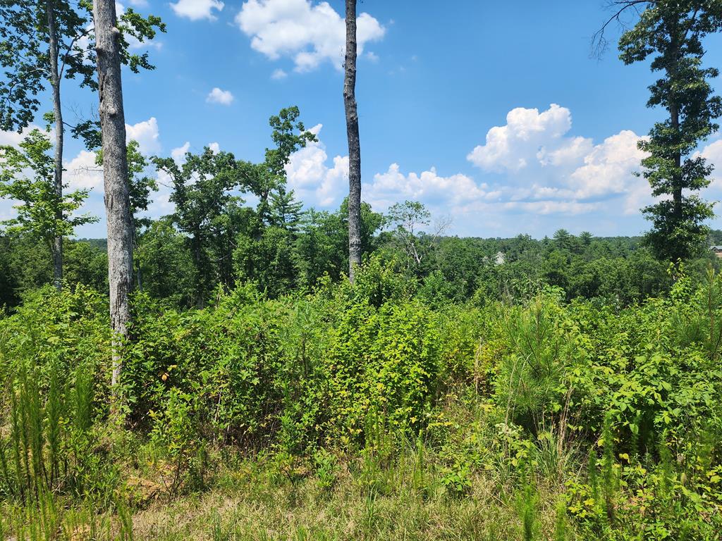 Lot 211 Woodstone Trail