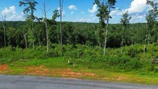 Lot 211 Woodstone Trail