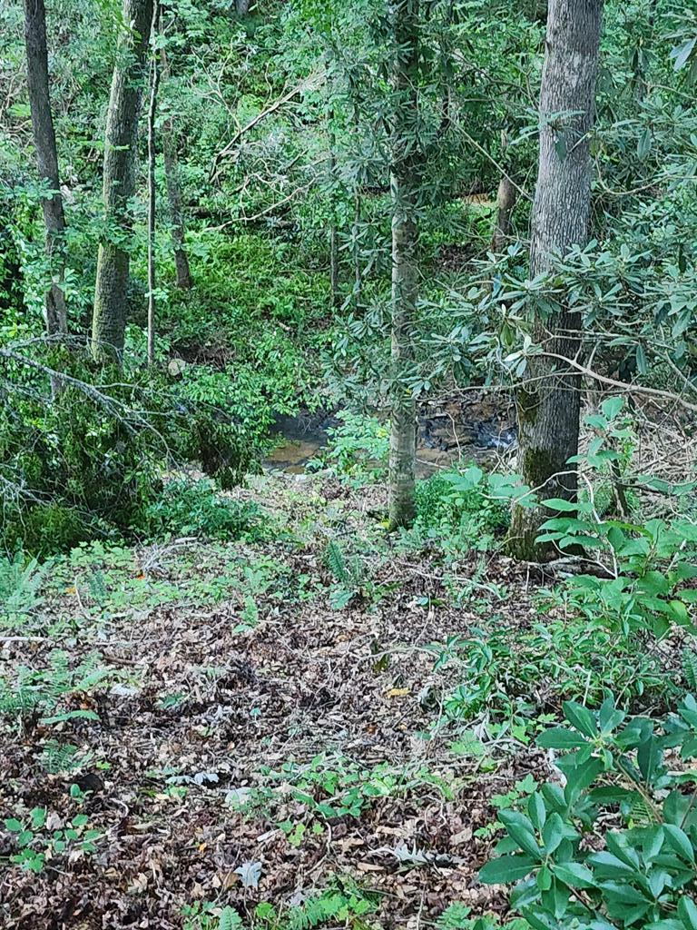 Lot 211 Woodstone Trail