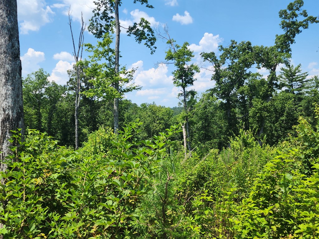 Lot 211 Woodstone Trail